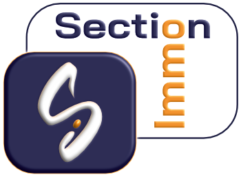 Logo SECTION IMMO